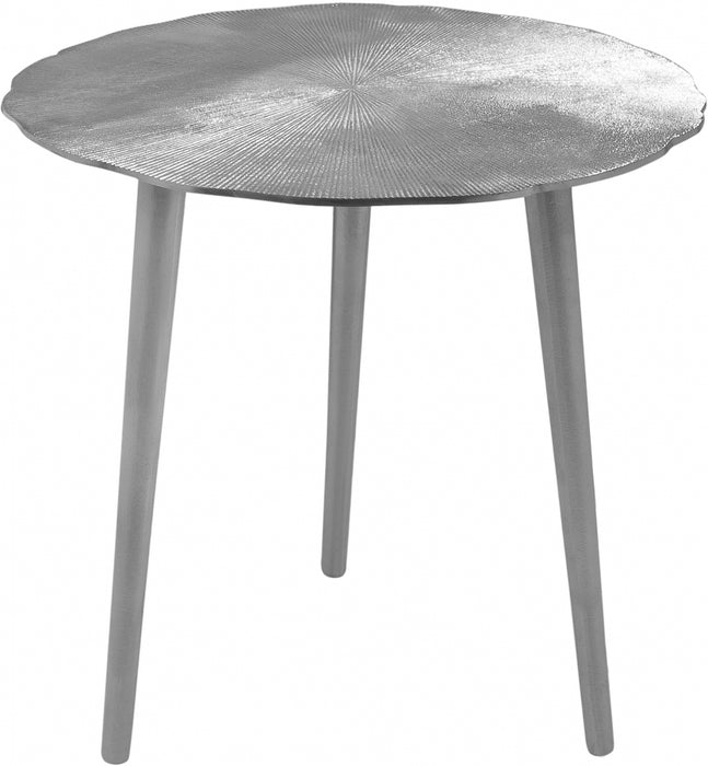 Meridian Furniture - Rohan End Table in Silver - 260-ET