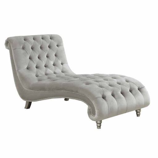 Coaster Furniture - Tufted Cushion Chaise in Grey - 905468 - GreatFurnitureDeal