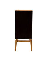 Coaster Furniture - Sunburst 2-Door Accent Cabinet Brown And Antique Gold - 953496 - GreatFurnitureDeal