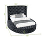 GFD Home - Hazel Queen Size Tufted Upholstery Storage Bed made with Wood in Black - GreatFurnitureDeal