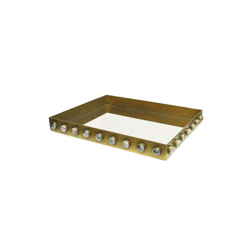 Worlds Away - Brister Rectangular Brass Tray With Inset Mirror And Resin Appliques - BRISTER - GreatFurnitureDeal