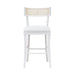 Worlds Away - Britta Klismos Counter Stool With Cane Detail in Matte White Lacquer - BRITTA CS WH - GreatFurnitureDeal