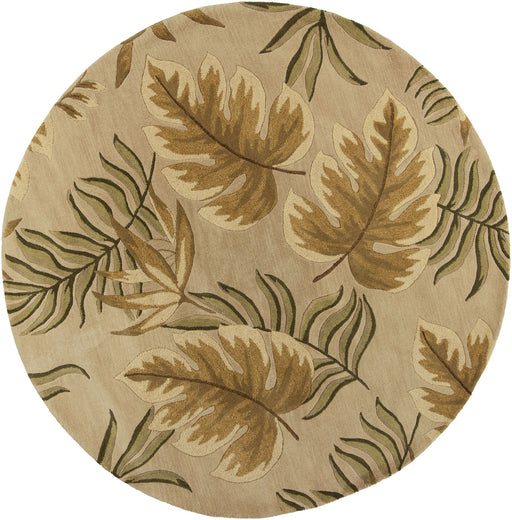 KAS Oriental Rugs - Havana Sand Area Rugs - HAV2614 - GreatFurnitureDeal