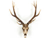 Zentique - Weathered / Distressed Brown Deer Skull 3D Wall Art - SHI018 - GreatFurnitureDeal