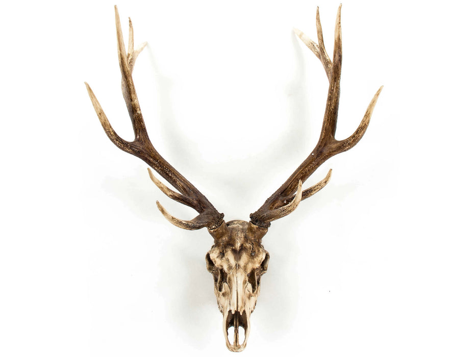 Zentique - Weathered / Distressed Brown Deer Skull 3D Wall Art - SHI018