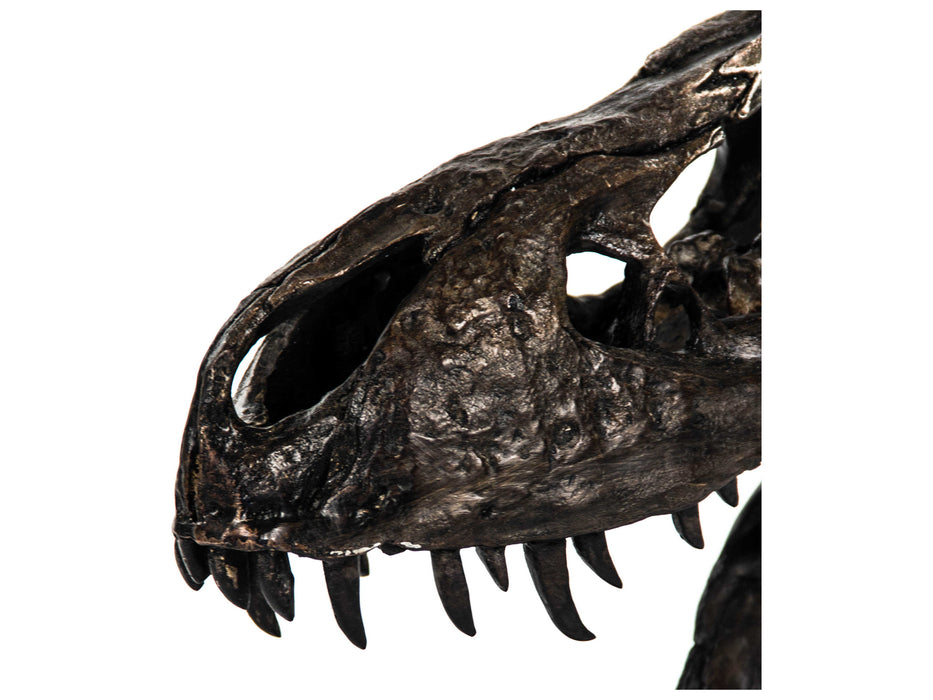 Zentique - Antique Brown / Black Dinosaur Skull Sculpture - SHI014 - GreatFurnitureDeal