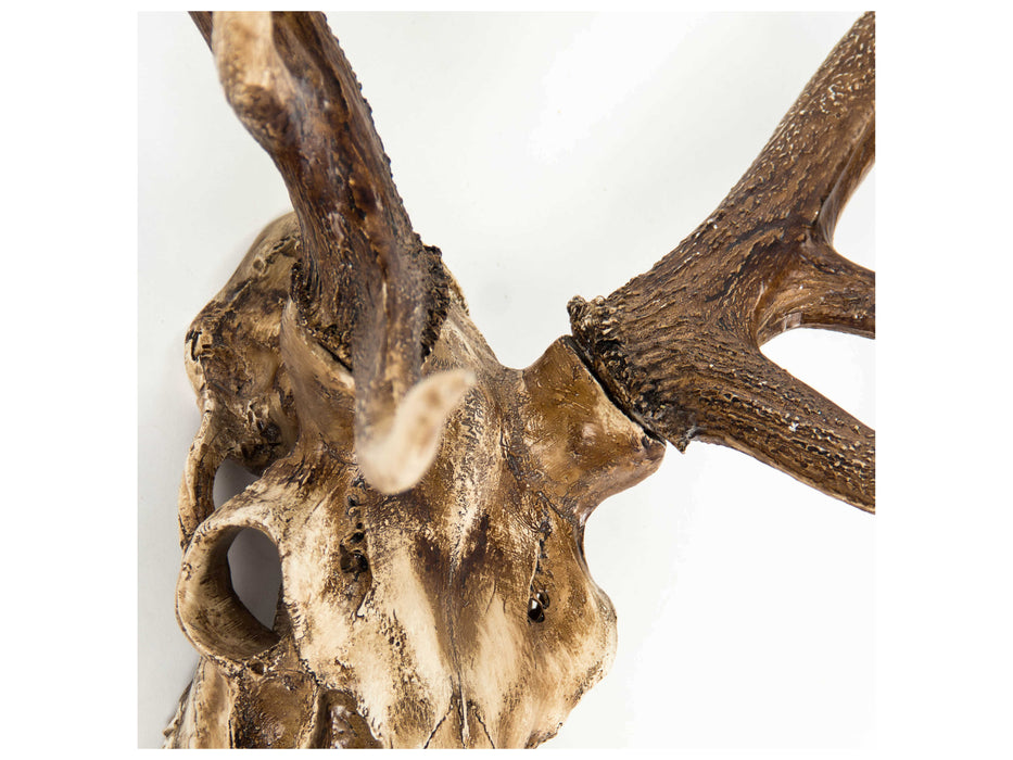 Zentique - Weathered / Distressed Brown Deer Skull 3D Wall Art - SHI018