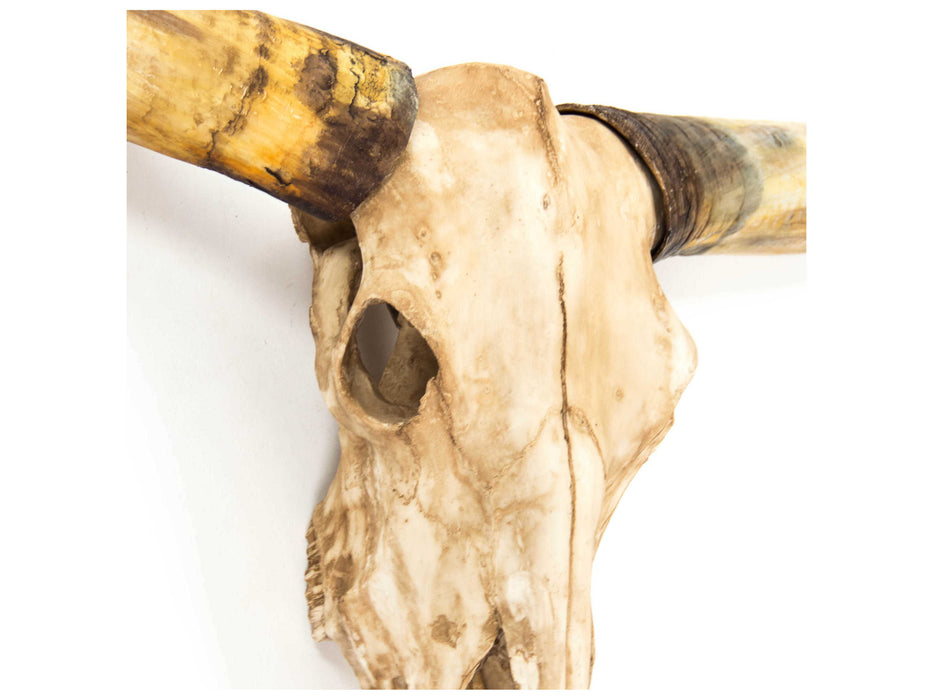 Zentique - Antique Ivory Texas Long Horn Skull 3D Wall Art - SHI035