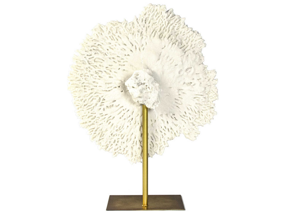Zentique - Off-White / Distressed Gold Coral Sculpture - SHI055