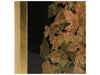Zentique - Wreath Shadow Box - ZEN30713 - GreatFurnitureDeal