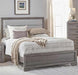 Myco Furniture - Chelsea Twin Bed in Gray - CH415-T