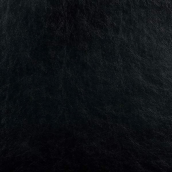 Sirius Black Loveseat - CM6567-LV - Swatch