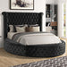 Furniture of America - Sansom Queen Bed in Black - CM7178BK-Q - GreatFurnitureDeal