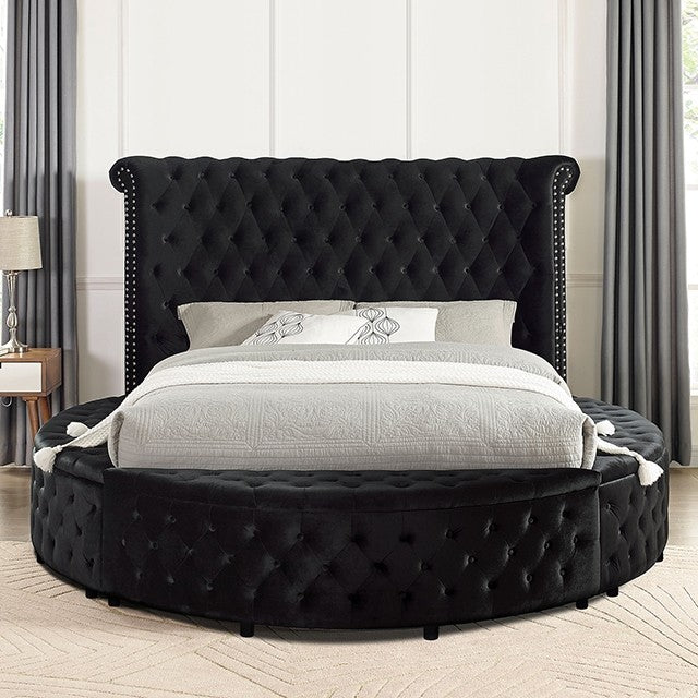 Furniture of America - Sansom California King Bed in Black - CM7178BK-CK - GreatFurnitureDeal