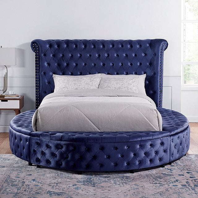 Furniture of America - Sansom Queen Bed in Blue - CM7178BL-Q