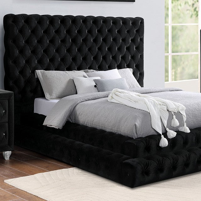 Furniture of America - Stefania Queen Bed in Black - CM7227BK-Q