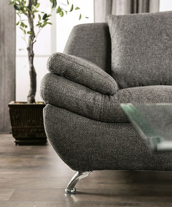 Furniture of America - Sarnen 2 Piece Sofa Set in Dark Gray - EM6721DG-SF-LV