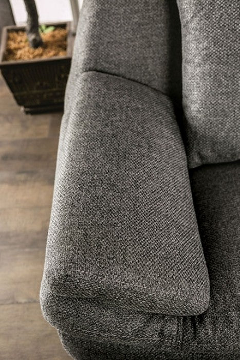 Furniture of America - Sarnen 2 Piece Sofa Set in Dark Gray - EM6721DG-SF-LV - GreatFurnitureDeal