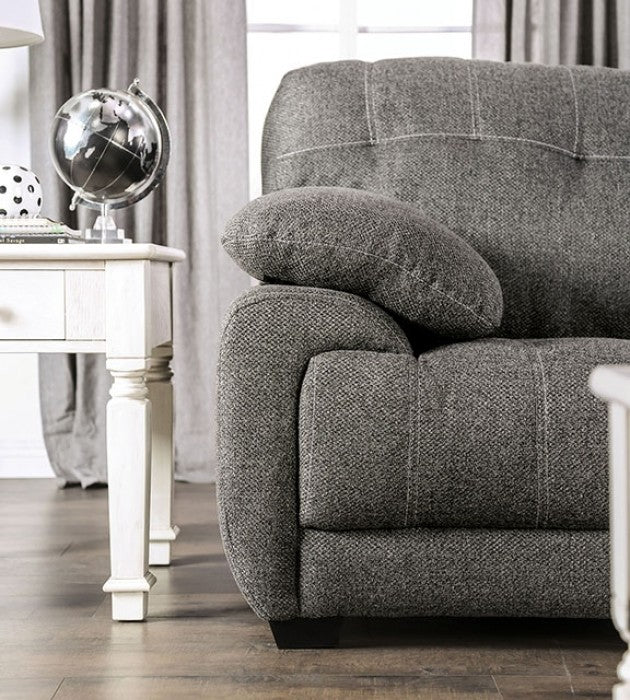 Furniture of America - Canby 2 Piece Sofa Set in Dark Gray - EM6722DG-SF-LV - GreatFurnitureDeal