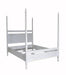 NOIR Furniture - Venice Bed, Queen, White Wash - GBED107QWH - GreatFurnitureDeal