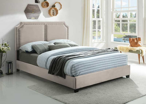 Myco Furniture - Kimberly Nailhead King Bed in Brown - KM8005-K-BR - GreatFurnitureDeal