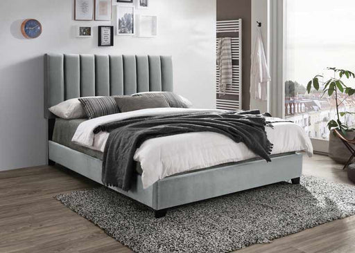 Myco Furniture - Kimberly Panel Queen Bed in Gray - KM8006-Q-GY - GreatFurnitureDeal