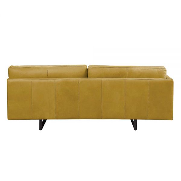 Acme Furniture - Radia Sofa - LV01022