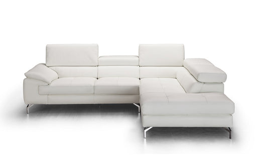 J&M Furniture - Nila Premium Leather Sectional In Right Facing Chaise - 18274-RHFC - GreatFurnitureDeal