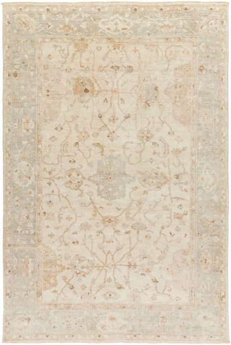 Surya Rugs - Normandy Neutral, Brown Area Rug - NOY8002 - 6' x 9'