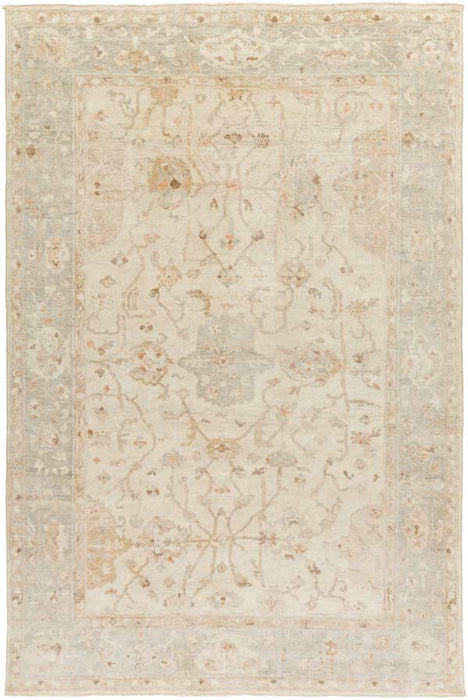Surya Rugs - Normandy Neutral, Brown Area Rug - NOY8002 - 2' x 3' - GreatFurnitureDeal