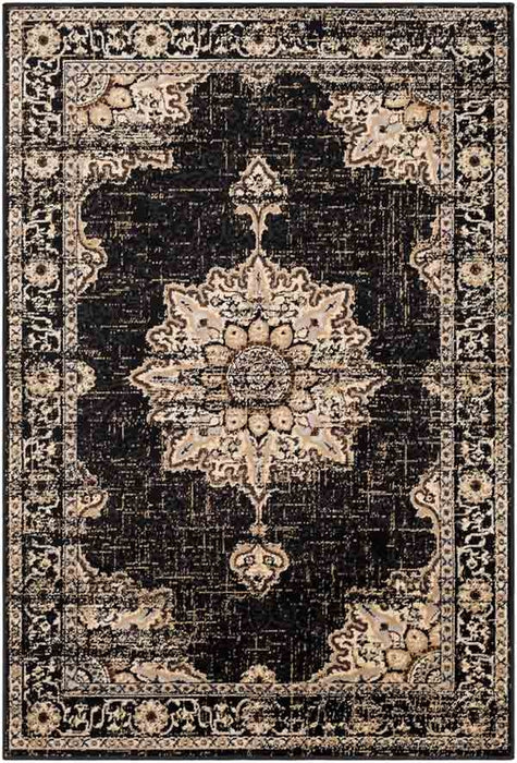 Surya Rugs - Paramount Multi Color Area Rug - PAR1089 - 8'10" x 12'9" - GreatFurnitureDeal