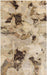 Surya Rugs - Slice Of Nature Neutral, Brown Area Rug - SLI6408 - 2' x 3' - GreatFurnitureDeal