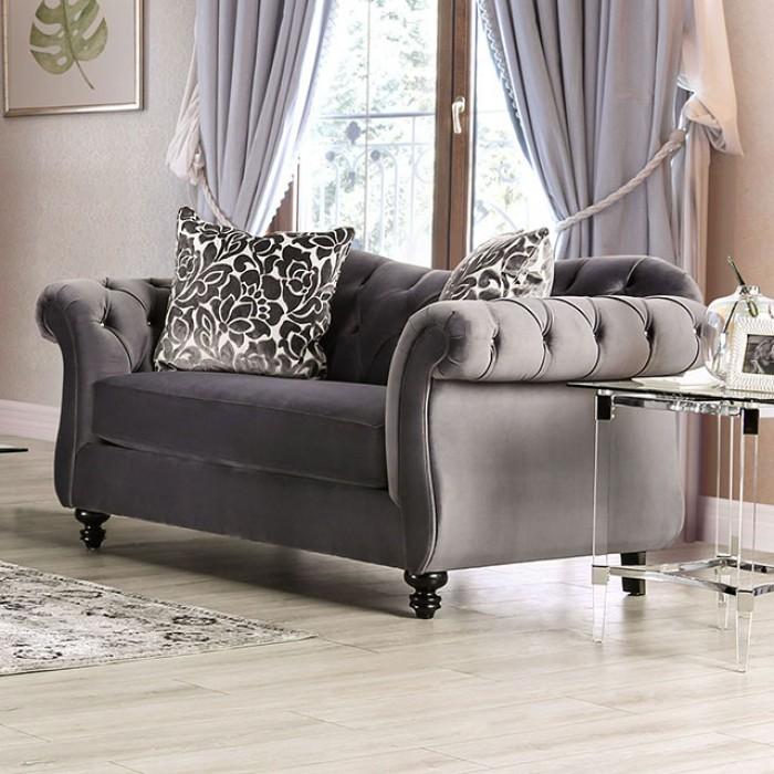 Furniture of America - Antoinette 2 Piece Sofa Set in Gray Glam - SM2229-SF-LV