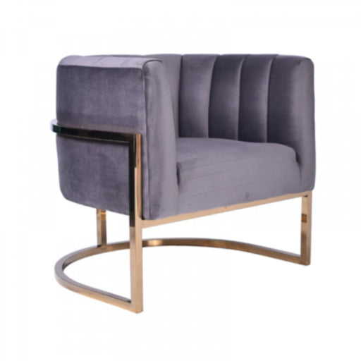 VIG Furniture - Modrest Landau Modern Grey Velvet & Gold Accent Chair - VGRH-AC406-GRY - GreatFurnitureDeal