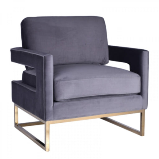 VIG Furniture - Modrest Edna Modern Grey Velvet & Gold Accent Chair - VGRH-RHS-AC-201-GRY - GreatFurnitureDeal