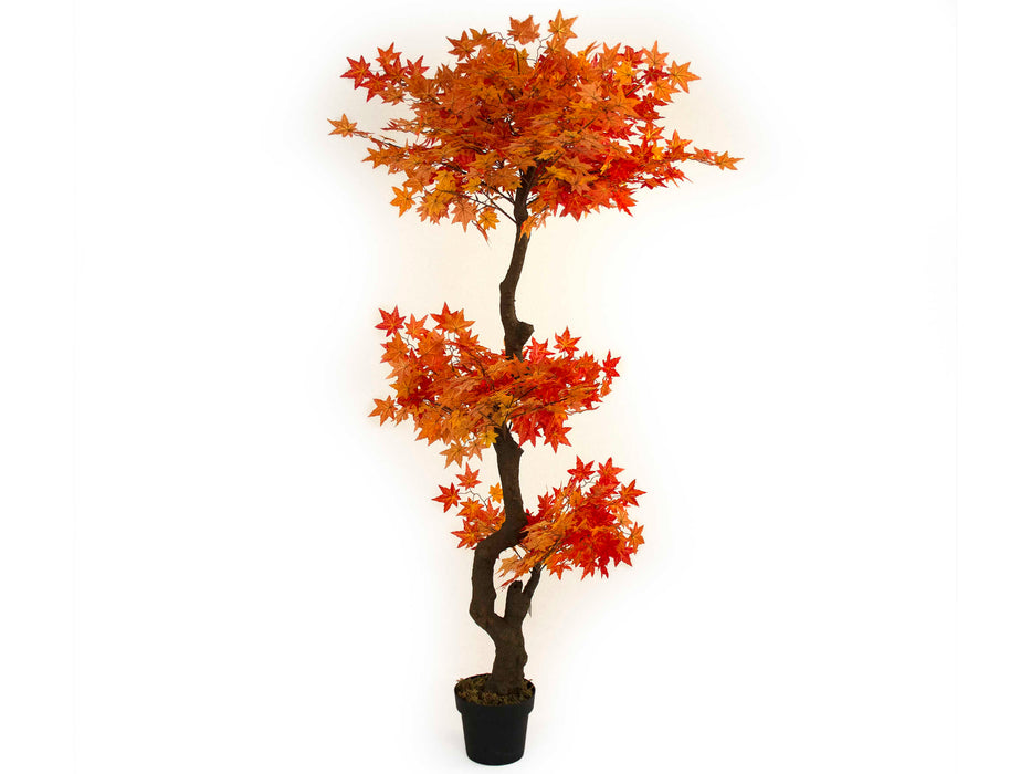 Zentique - Orange Faux Ornmental Maple Plant - ZEN-180503-31